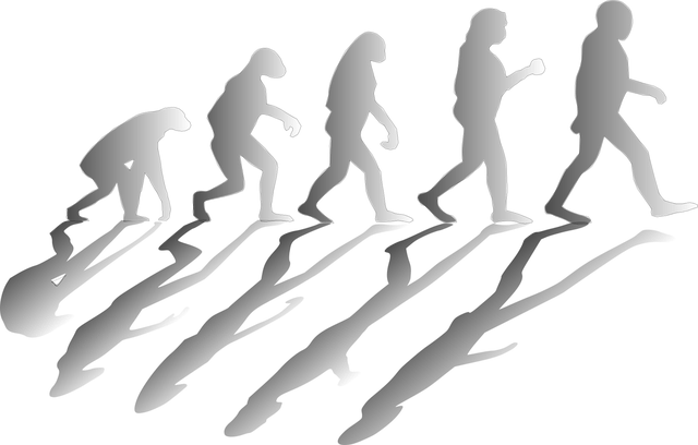 ewolucja i inteligentny projekt